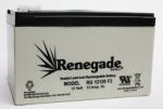 PM12100 or PM12120 PM Battery
