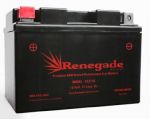 12 Volt, 12 Amp Sealed Maintenance Free Battery
